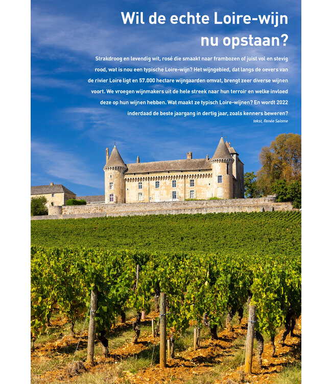 Domaine de Châtenoy - Blanc Classique  - Menetou Salon AOC 2023