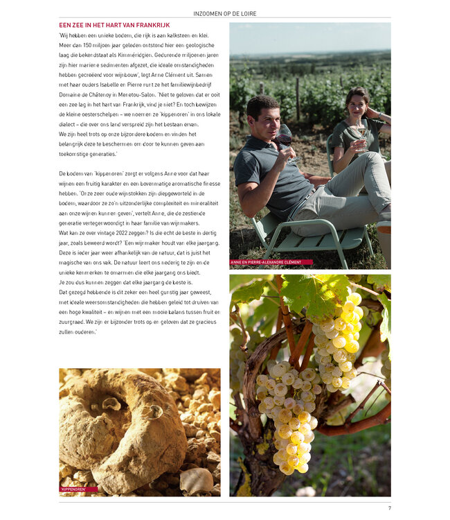 Domaine de Châtenoy - Blanc Classique  - Menetou Salon AOC 2023