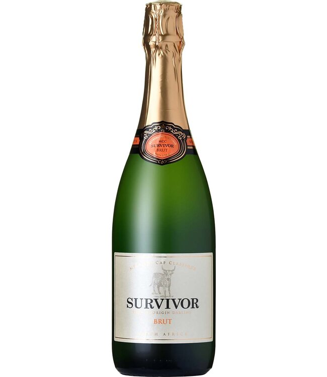 Survivor - MCC Brut - Darling 2019