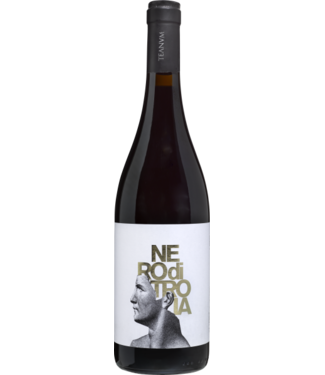 Teanum Favugne - Nero di Troia - Puglia IGP 2021