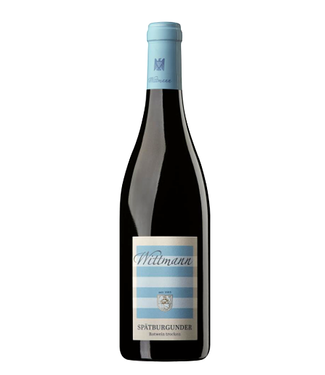 Weingut Wittmann - Spätburgunder trocken - Rheinhessen 2023