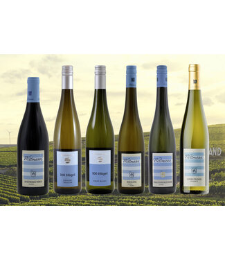 Proefdoos - Weingut Wittmann - keuze 1