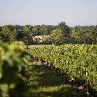 Château La Grande Clotte