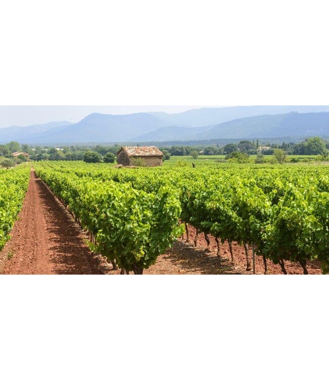 Sainte-Croix - Rosé - Var IGP 2025 - BIO