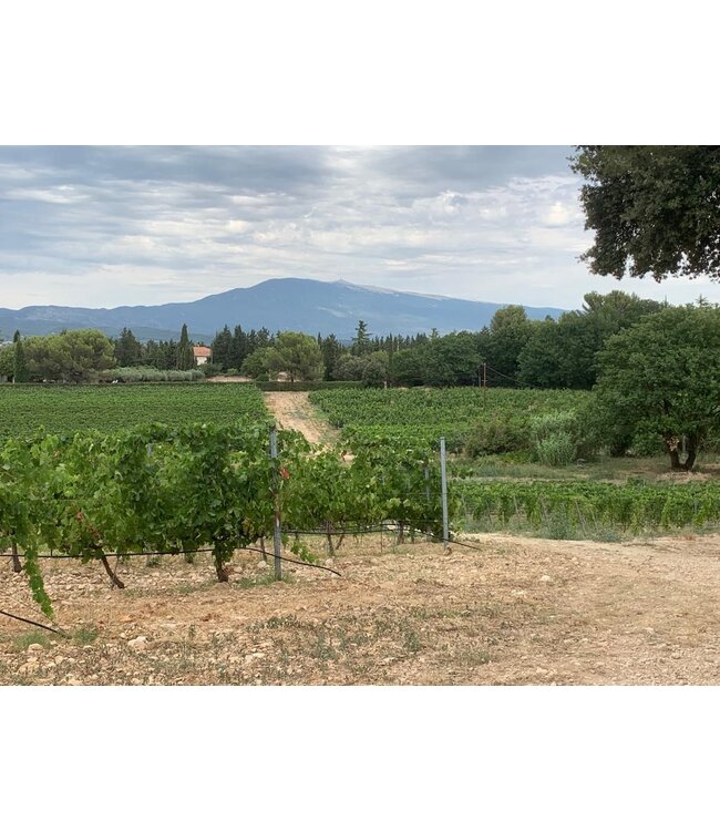 Domaine de Marotte - Cuvée Jules Rosé - Vin de Pays de Méditerranée 2025