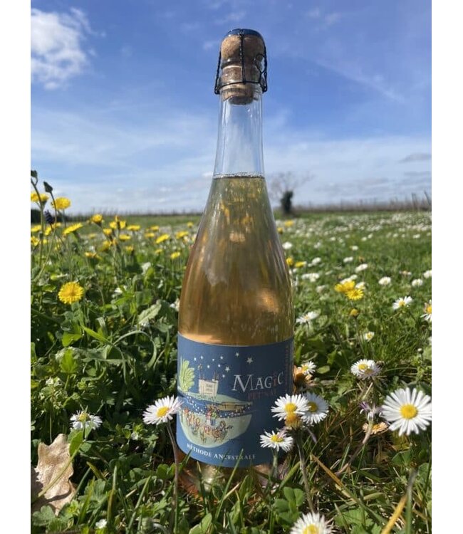 Domaine de Rocheville - Magic Pet Nat - Saumur rosé - AOP 2025 - BIO
