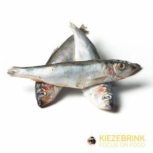 Kiezebrink Herring Large - 1Kg