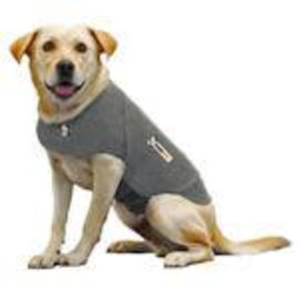 ThunderWork Donnerhemd-Hund
