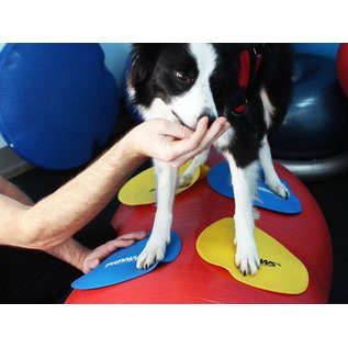 FitPaws Targets (4 pieces)