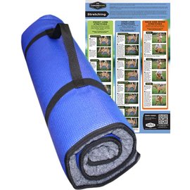 FitPaws K9Fitbed Small / Medium Blue 51x76cm