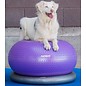 FitPaws Donut Purple Trax 55cm