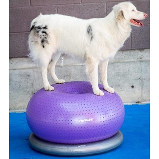 FitPaws Donut Purple Trax 55cm