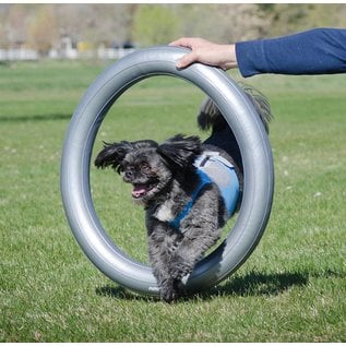 FitPaws Donut Holder