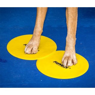 FitPaws Targets (4 pieces)