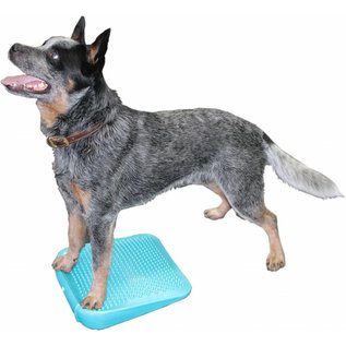 FitPaws FitPAWS® - Dog Balance Ramp