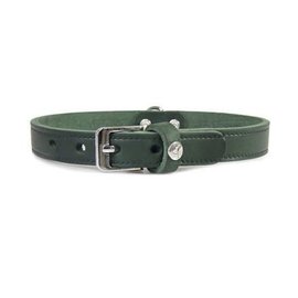 Das Lederband Leren Halsband Weinheim 10mm Jachtgroen 27cm verstelbaar 17-23cm