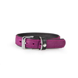 Das Lederband Leren Halsband Violet/Zwart - Vancouver - B:30mm L:50cm - Verstelbaar 36-42cm