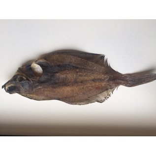 iceborders Flatfish dried - 500gr