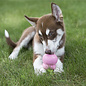 KONG KONG Easy Treat Puppy 226gr