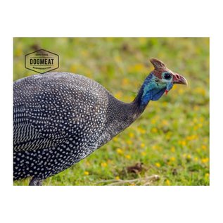 DogMeat Guinea fowl - 1kg - DogMeat