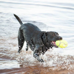 KONG KONG AirDog Squeaker Football Medium