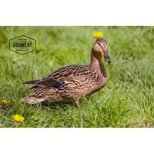 DogMeat Duck - Head (domestic duck) 1kg - DogMeat