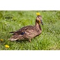 DogMeat Duck - Head (domestic duck) 1kg - DogMeat