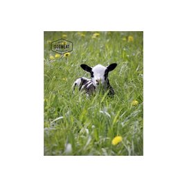 DogMeat Lamb - Tripe - Ground - 500gr