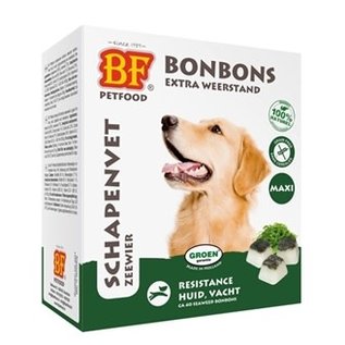 Biofood Biofood schapenvet maxi bonbons knoflook 40st