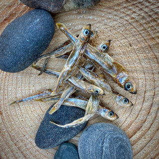 Petbit Dried Smelt 100g - Petbit