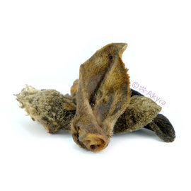 Akyra Deer ears Dried with fur - 5 pcs