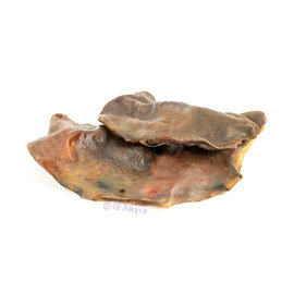 Akyra Horsehide Dried Plates - 250gr