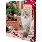 Trixie Advent calendar cat 30x3.5x34 cm