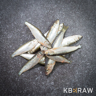 KB RAW Sprat 1kg - KB BARF