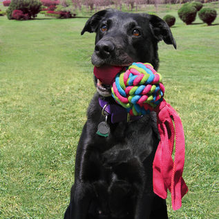 KONG KONG - Wubba Weaves - Small