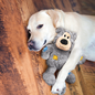 KONG KONG - Wild Knots Bear - M/L