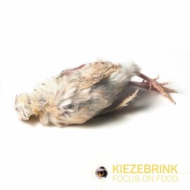 KB BARF Kwartel Heel (met veren) - 1kg
