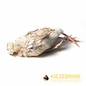 KB BARF Quail Whole (with feathers) - 1kg
