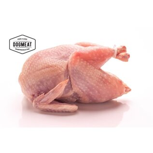 KB BARF Quail Gender - 4 Pieces