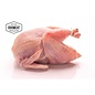 KB BARF Quail Gender - 4 Pieces
