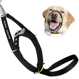 Canny Canny Collar Schwarz