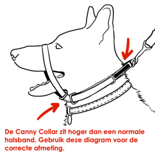 Canny Canny Collar Zwart