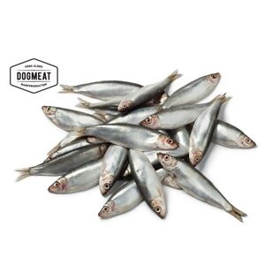 iceborders Sprot 500gr - DogMeat