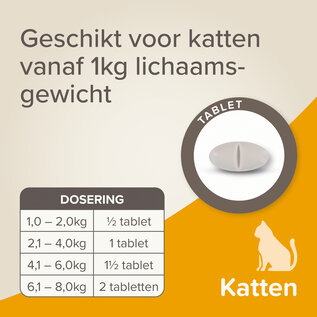 Beaphar Wurmtabletten All-in-One Katze