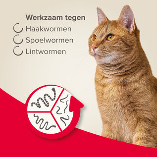 Beaphar Wurmtabletten All-in-One Katze