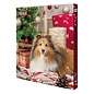 Trixie Adventkalender hond 30x3,5x34 cm