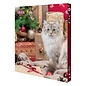 Trixie Adventskalender Katze 30x3,5x34 cm