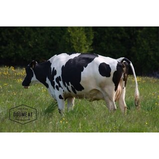 DogMeat Rinderpanesum - 500 g - Dogmeat