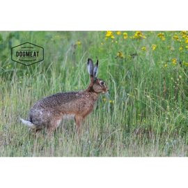 DogMeat Kaninchen - 500 g - DogMeat