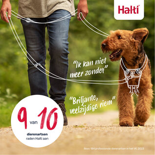 The Company of Animals Halti - Trainingsleine Rot Groß - 200 cm/25 mm